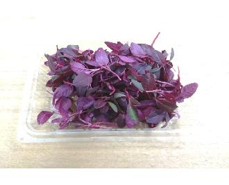 有機野菜 マイクロアマランサス 約18ｇ 1パック 生鮮野菜 業務用食材 飲食店仕入れ ミクリード